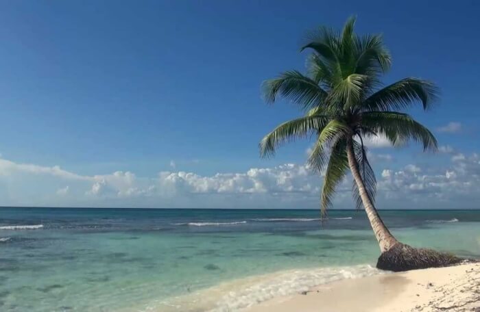 Golden Fish Beach