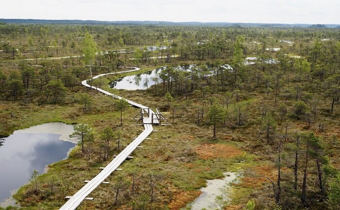 Great Kemeri Bog Boardwalk
