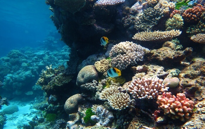 Great Barrier Reef