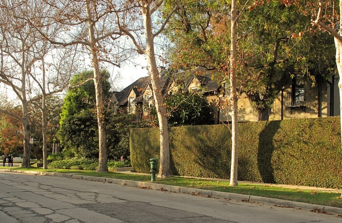Park view