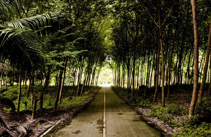 Hike to Salakphet