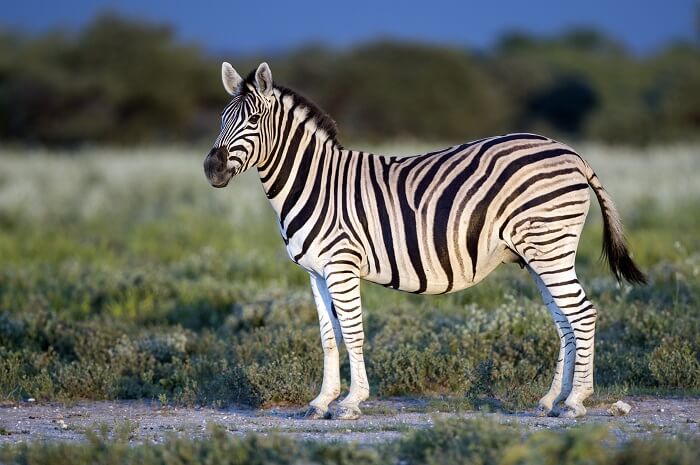 Hluleka Wildlife Reserve Trails