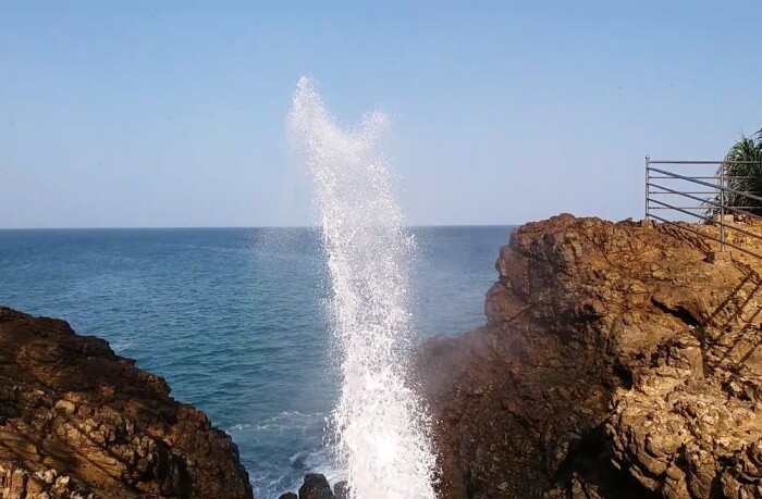 Hummanaya