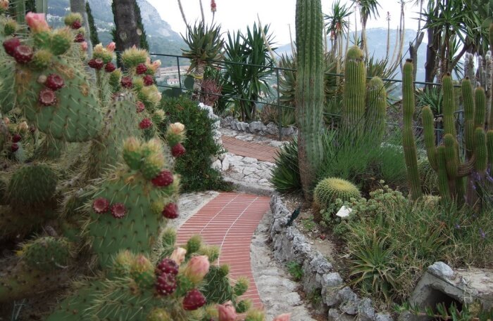 Jardin Exotique