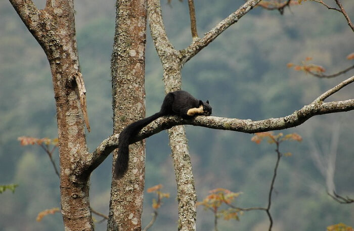 National Park