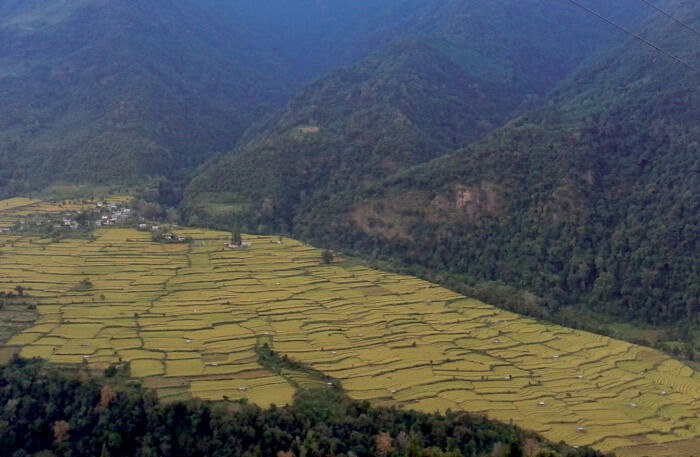 National Park