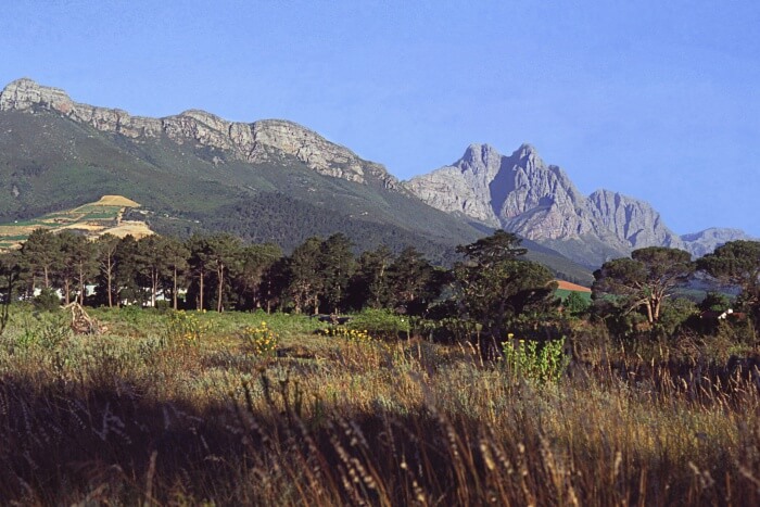 Jonkershoek Nature Reserve