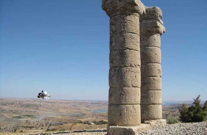 Karakus