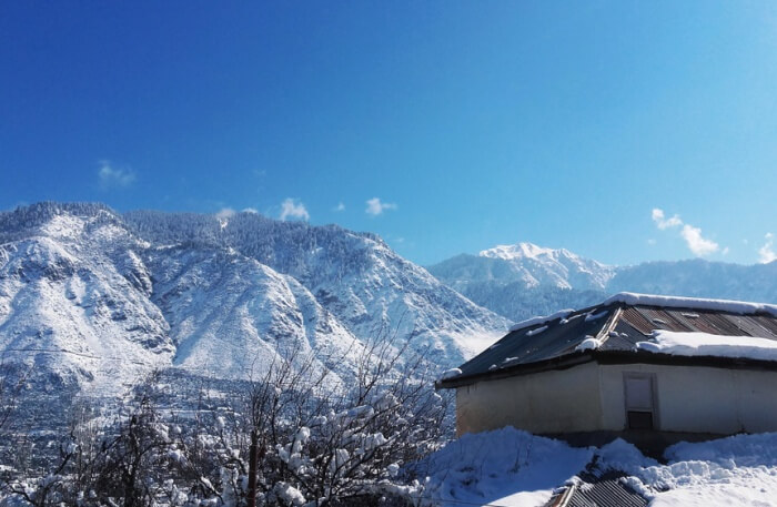 Mountains View