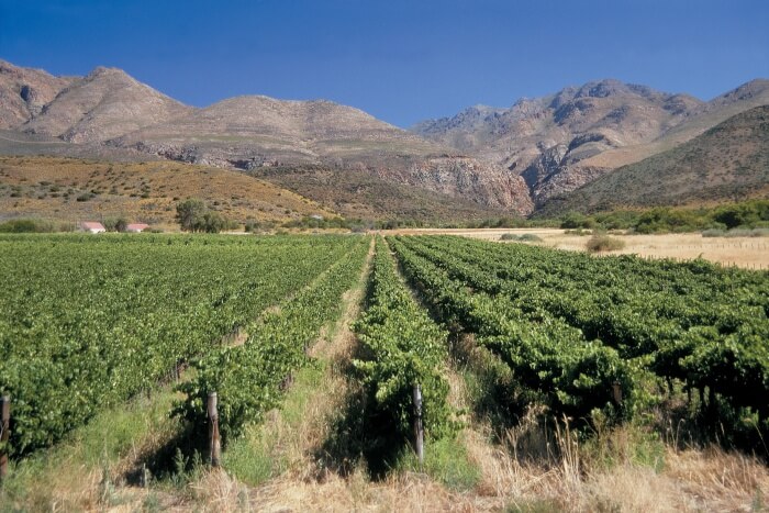 Klein Karoo