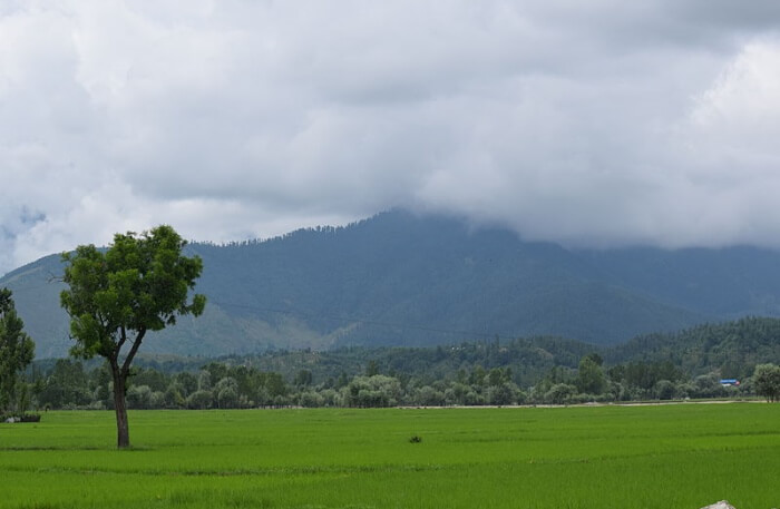 Kupwara In Kashmir