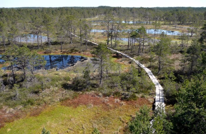 Lahemaa National Park