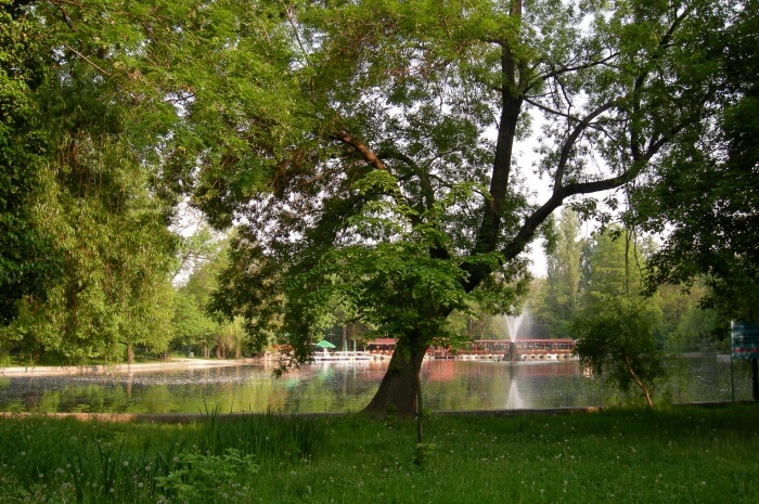 Lake Cismigiu