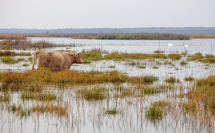 Lake Engure Nature Park