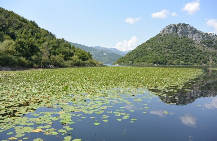 Lake Skadar in Montenegro