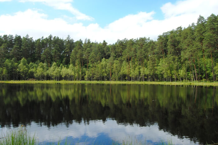 Lake Słupca in Poland