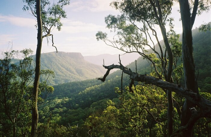 National Park view