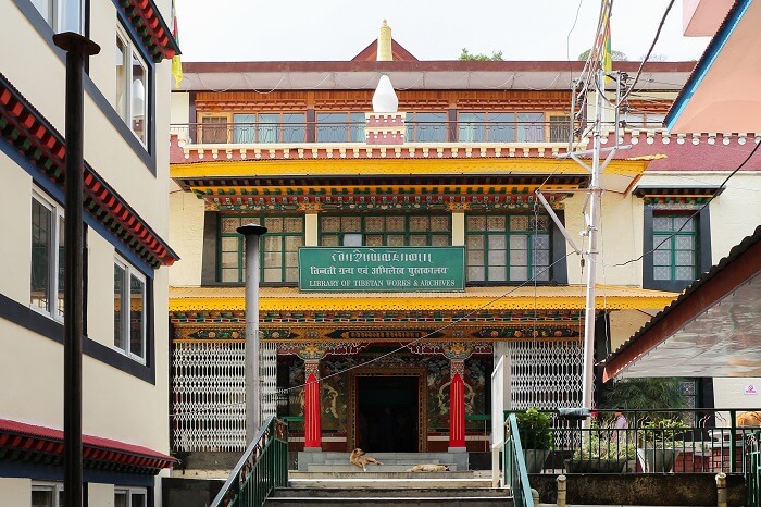 library in dharamshala