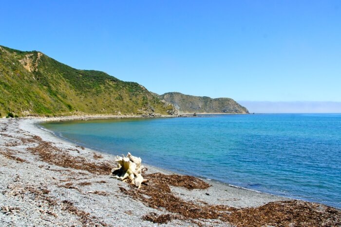 Makara Beach