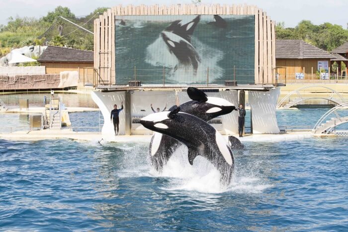 Marineland