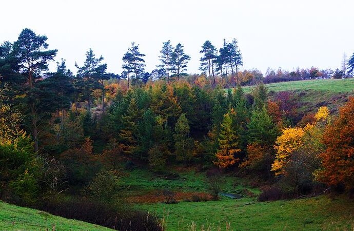 Mols Bjerge National Park