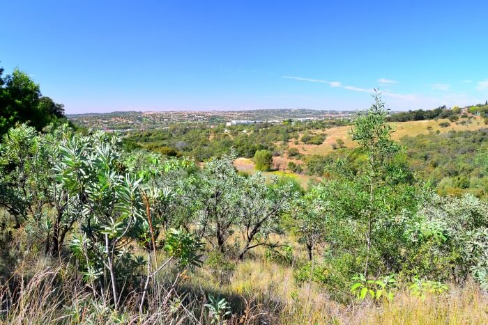Moreletaspruit Nature Reserve