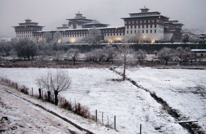 Motithang Takin Preserve Weather