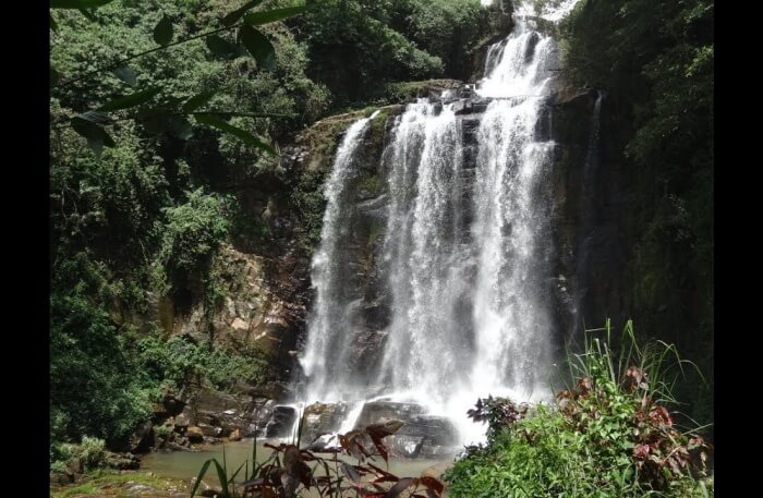 Mount Vernon Waterfalls view