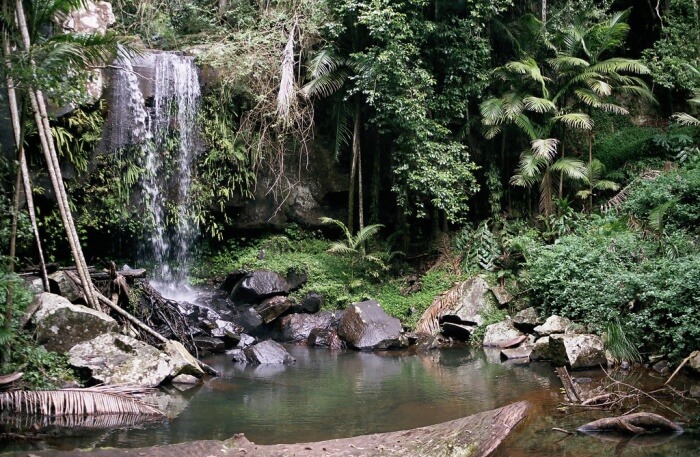 Mt Tamborine