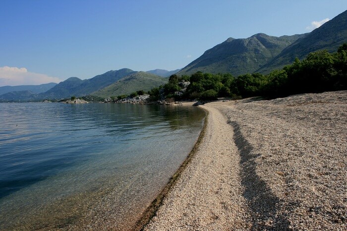 Murici