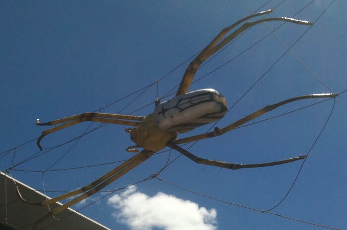 Museum Of Tropical Queensland