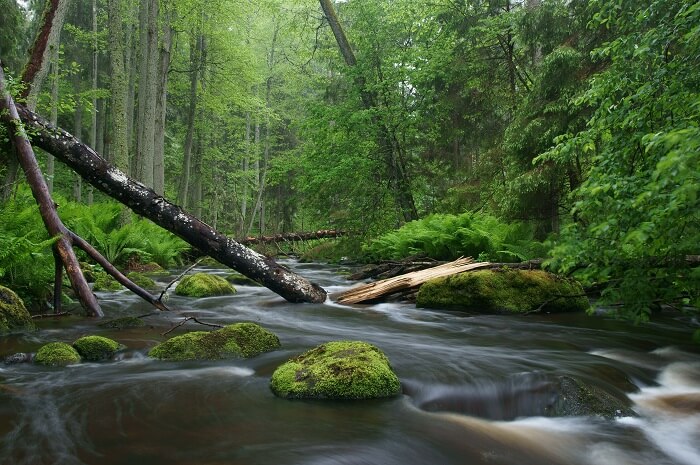 National Parks & Nature Reserves
