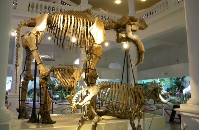 Natural History Museum