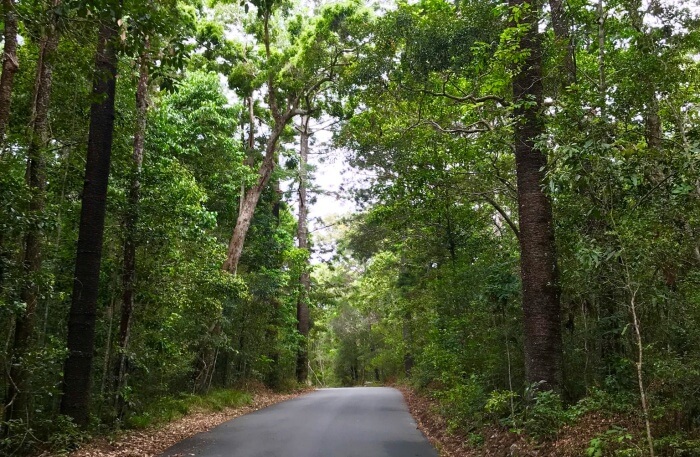 View of Noosa National Park