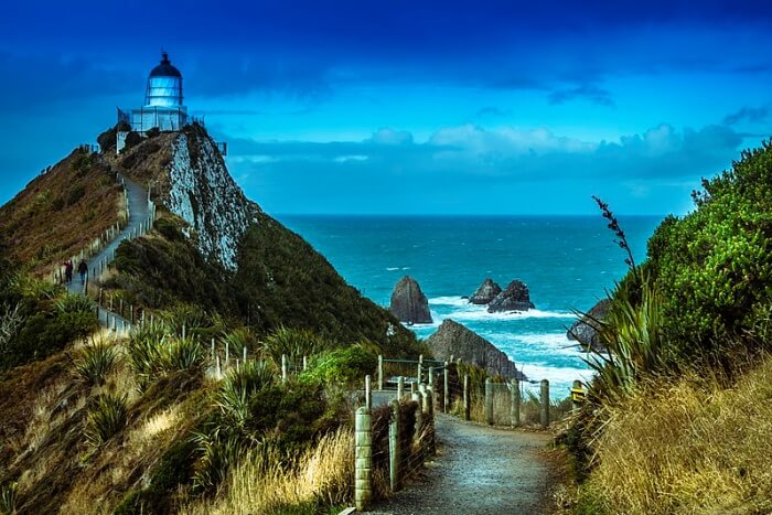 Nugget Point