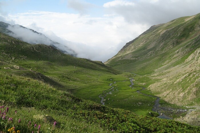 Outeniqua Nature Reserve