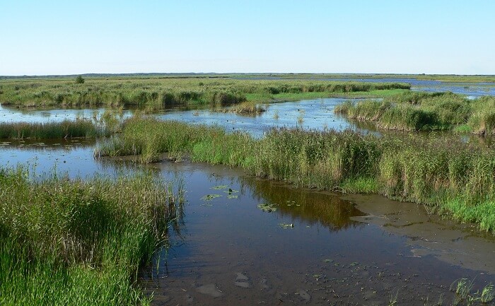 Pape Nature Reserve