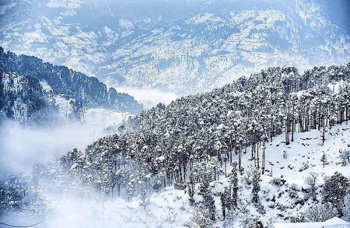 Patnitop View