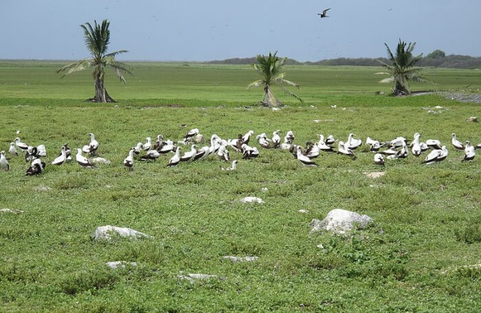 Phoenix Islands