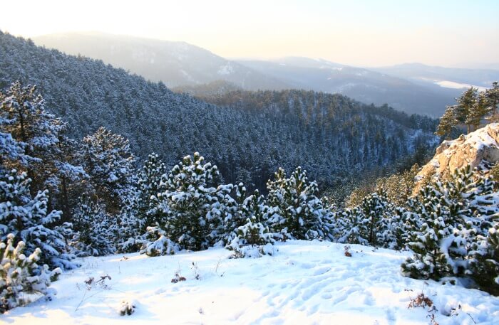 Pilis Mountain Loop
