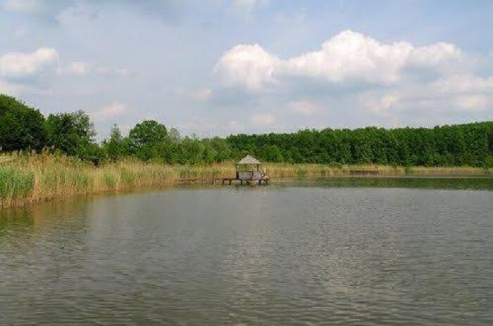 Plaiul Fagului (Land Of Beeches)