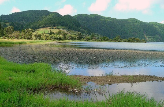 Poco azul