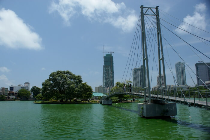 bridge