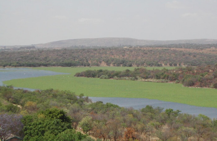 Roodeplaat Dam Provincial Nature Reserve