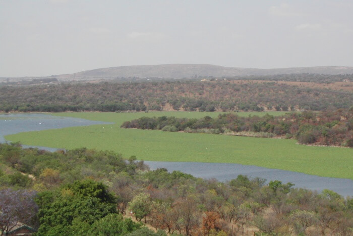 Roodeplaat Dam Provincial Nature Reserve
