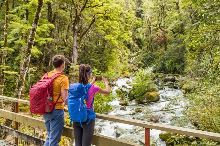 Routeburn Track Treks Cover