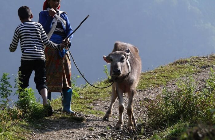 Rural lifestyle of Bhutan