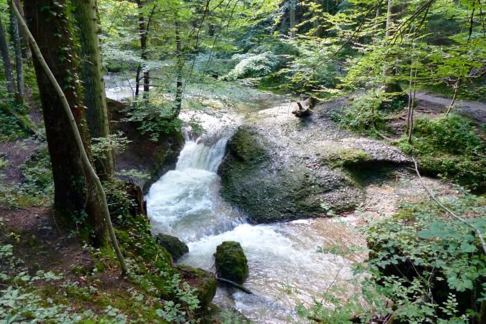 Scheidegger Wasserfalle