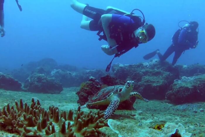 Snorkeling