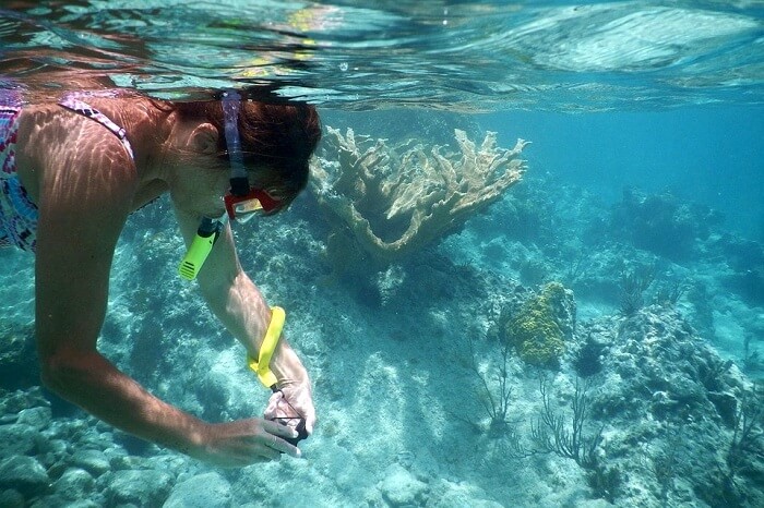Snorkeling